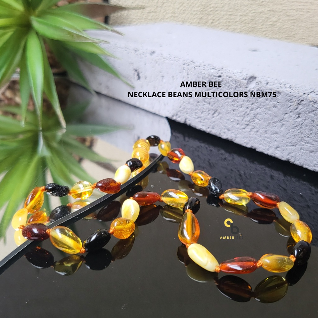 Kalung Amber Anak Premium Glossy Multicolor Beans NGMB54 By Amber Bee