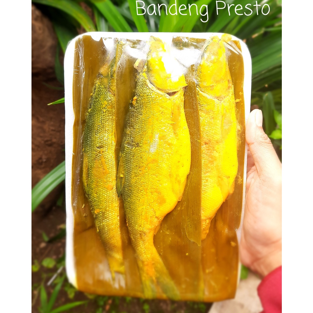 

Bandeng Presto isi 3 ekor