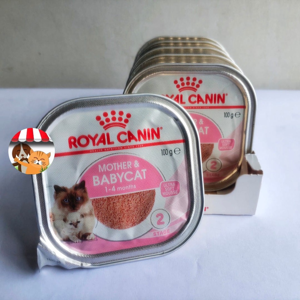 Royal Canin Mother And Baby Cat Wet Food 100gr