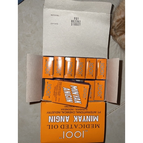 MINYAK ANGIN 1001