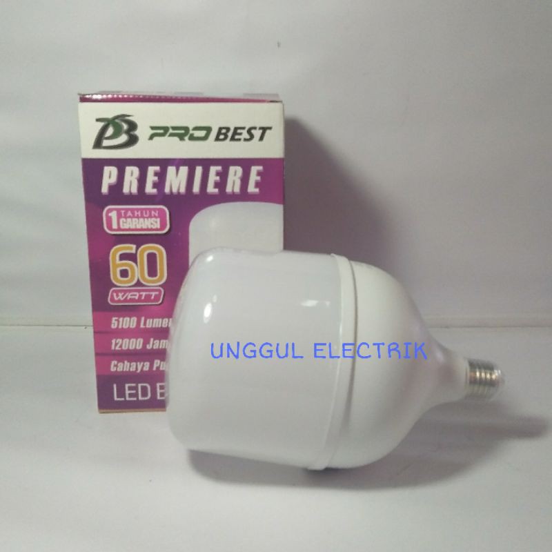 Bohlam LED Kapsul 60 watt 