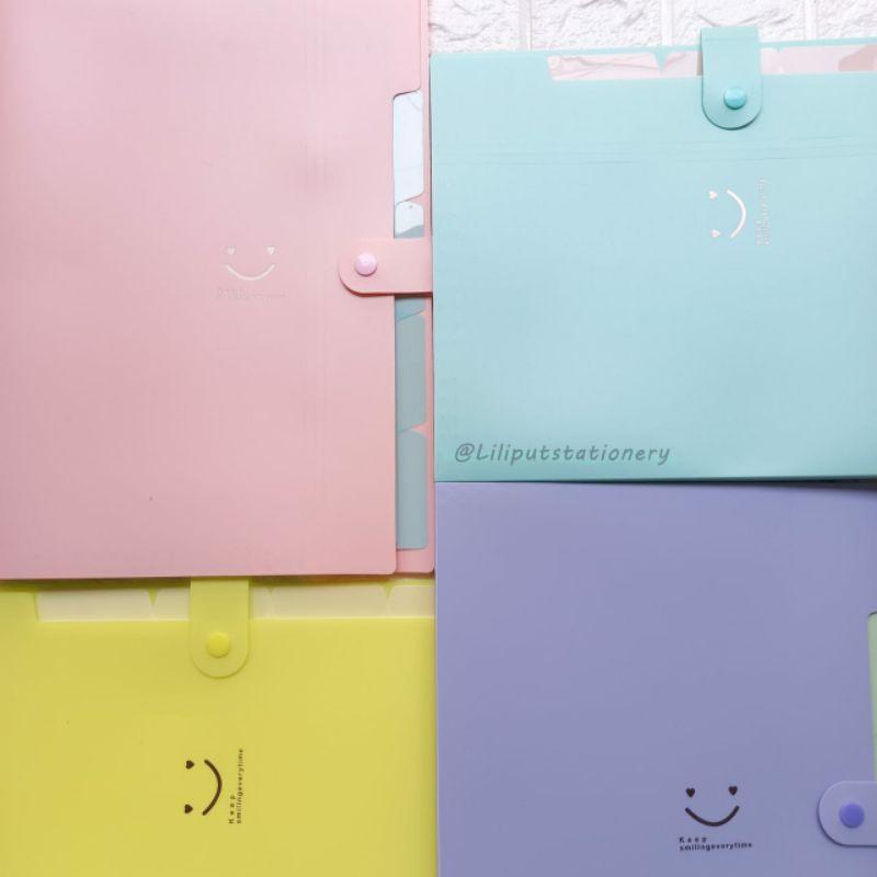 

Map File Organizer Pastel 5 Slot