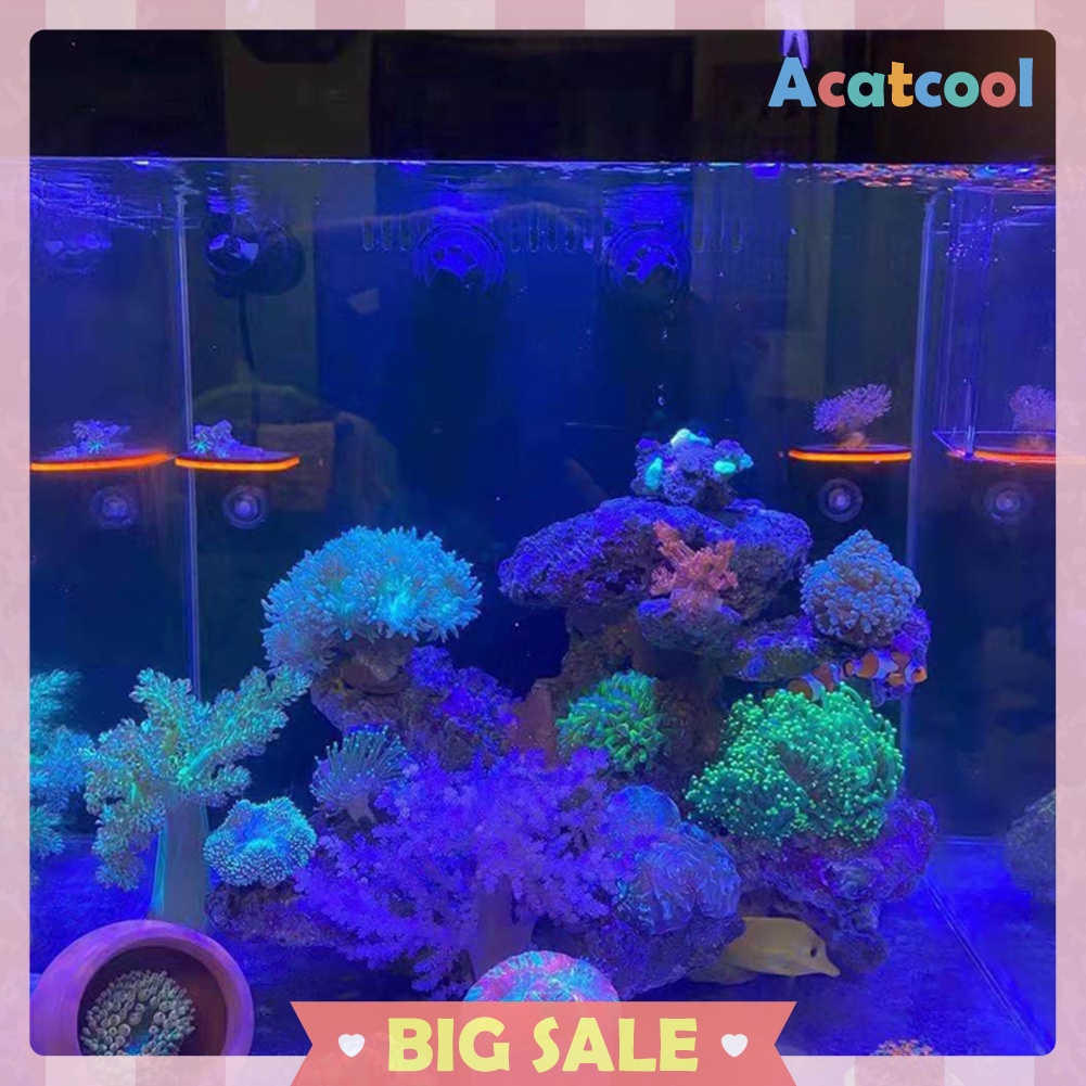 Fish Tank Fluorescence Coral Frag Rack Reef with Plugs Suction Holder Stand