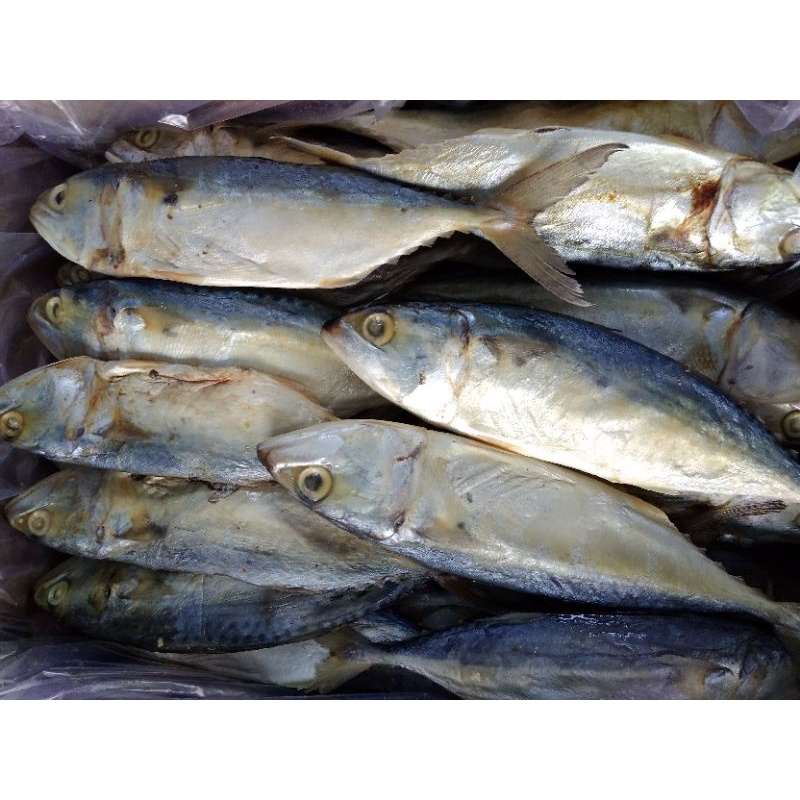 

Ikan Asin Banjar/Peda Besar