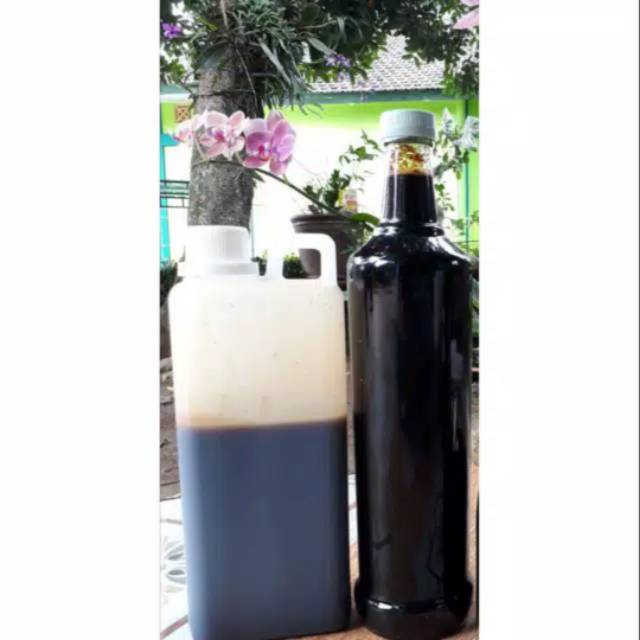 

Madu Klanceng / Trigona / Kelulut Asli 550ml (800gr)
