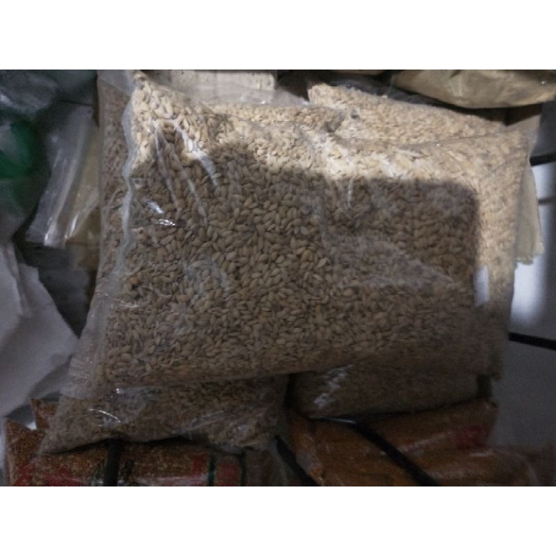 gandum 1kg