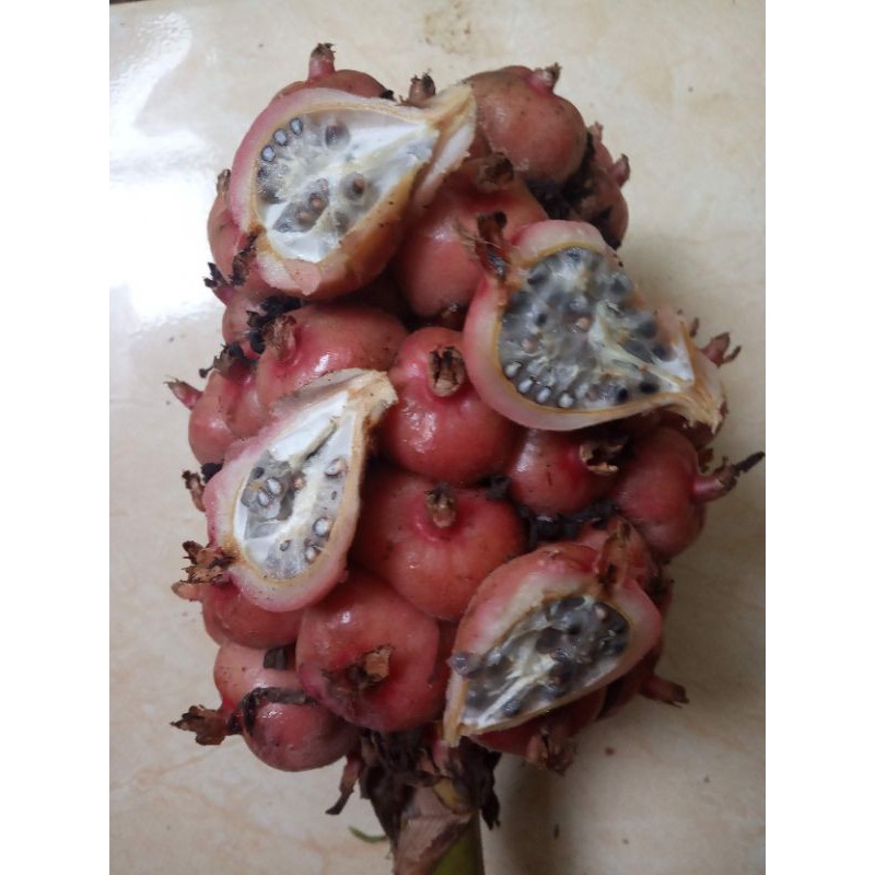 

buah honje segar 1000gr