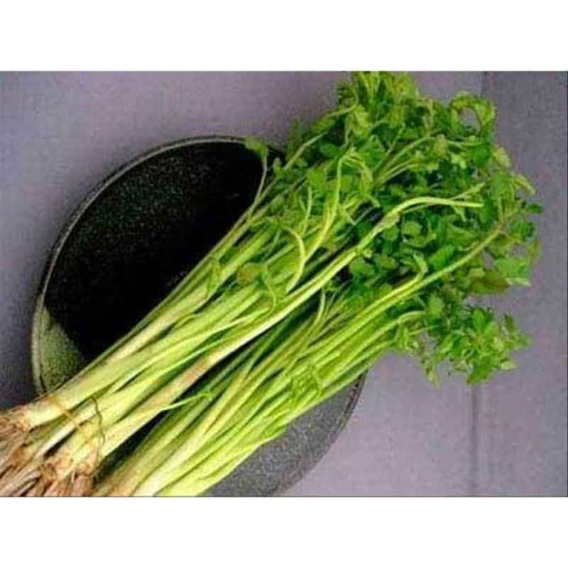 

Sayur Daun Tespong Sladren 1 Ikat
