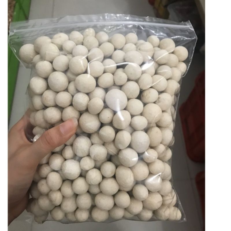 

Kacang Sukro Putih