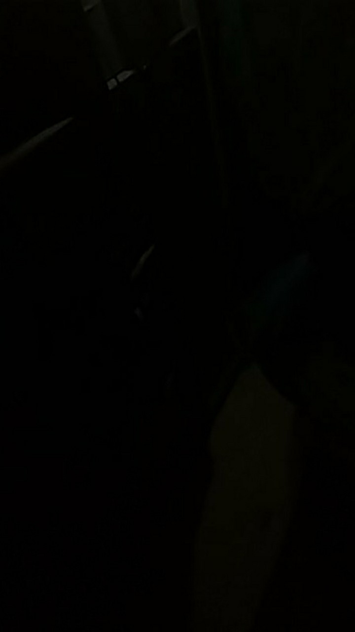 Pisau Dapur Pengupas Pemotong Buah Sayur Stainless Steel