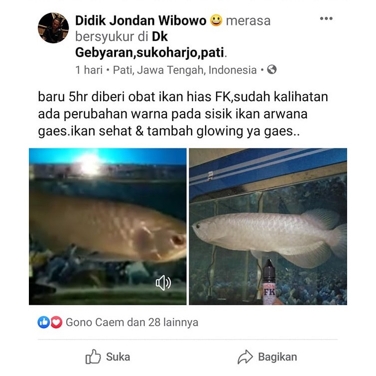 Obat Ikan Hias Arwana Sehat, Kuat, Tahan Penyakit Bisa untuk Semua Jenis Ikan Hias - Produk Abah FK