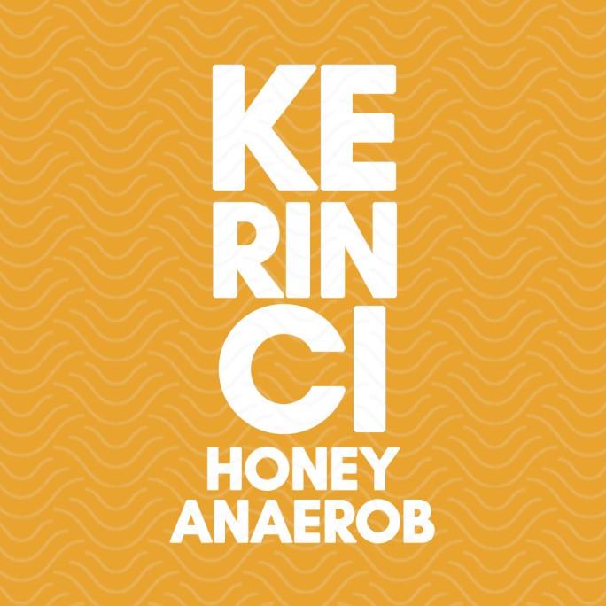 

[COD] kopi arabika kerinci honey anaerob 200gr [COD]