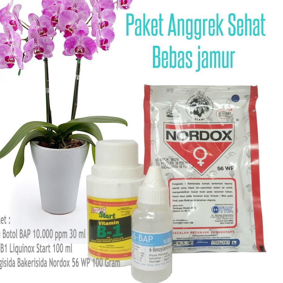 

*-585 Paket Nutrisi Anggrek Sehat Bebas Jamur ^