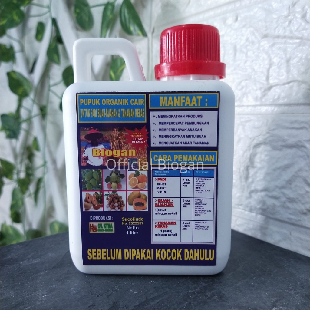 Pupuk Organik Cair (POC) PUPUK POC Untuk Buah Mangga 500ML