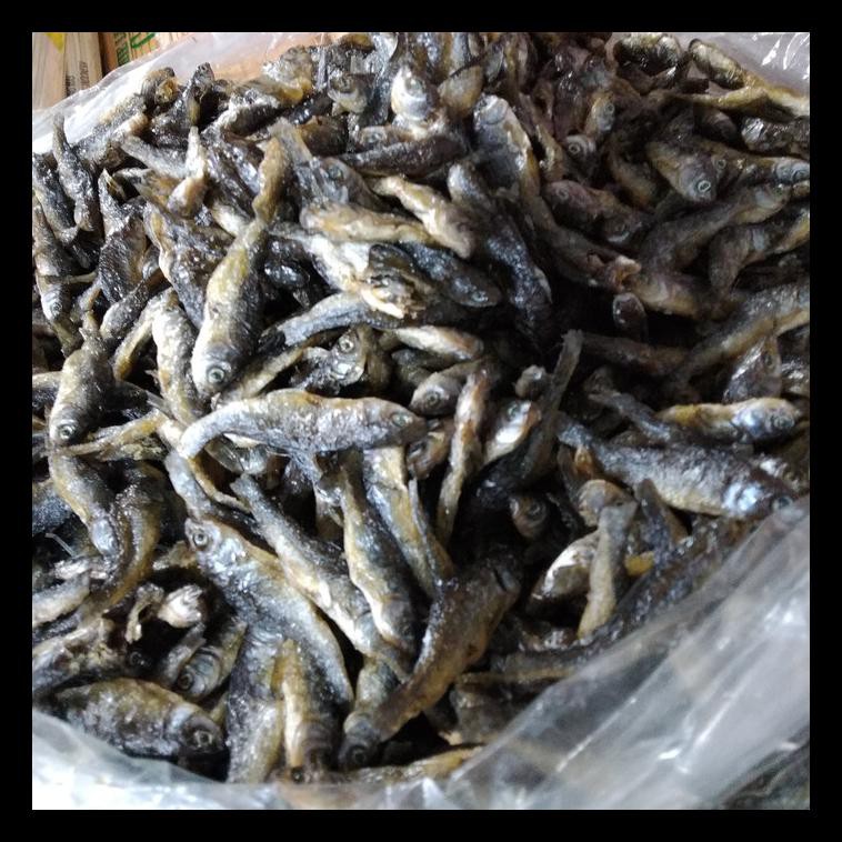 

STOK BARU! KHAS MEDAN IKAN BILIH PADANG TERMURAH