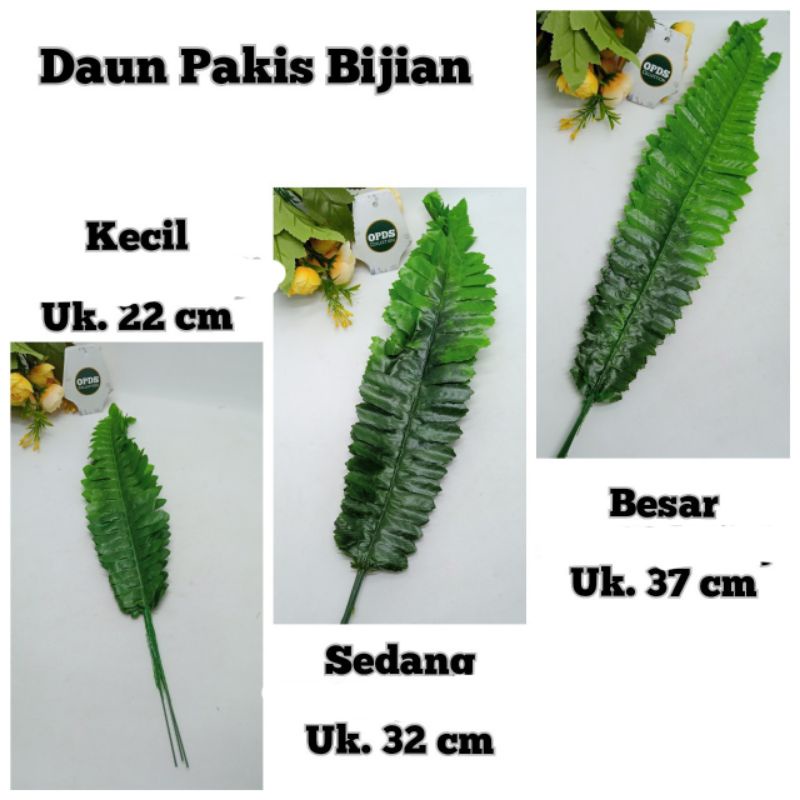 Daun pakis bijian/ daun pakis buatan
