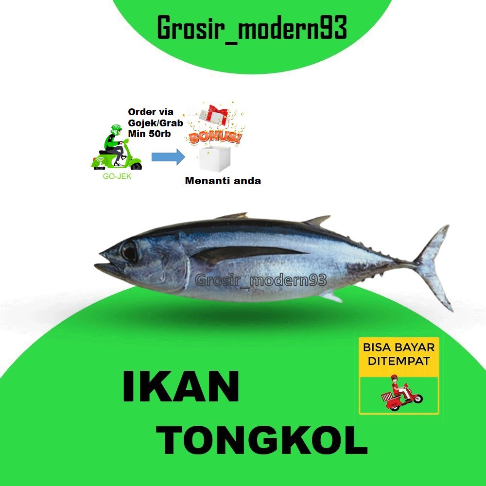 

Ikan tongkol sedang 1 pack