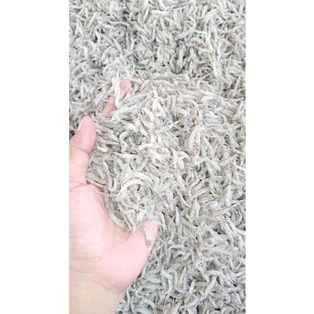 

IkanAsinTeri1Kg