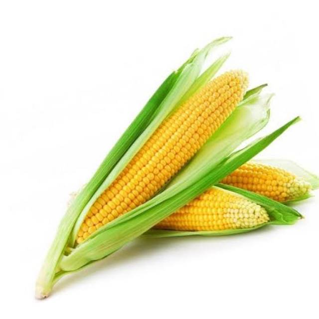 

Tokko Jagung Manis Kulit