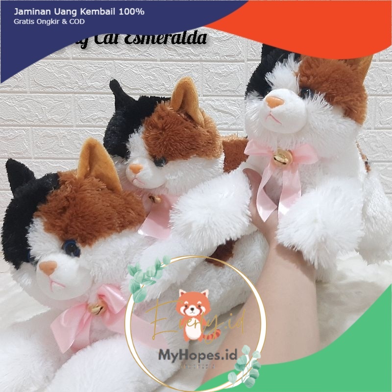 SNI ! Boneka Kucing Jumbo 55 cm LUCU ESMERALDA   gemes kado anak pacar sahabat cewek JUMBO BESAR MINI KECIL  everly.id everlyid gemoy lucu