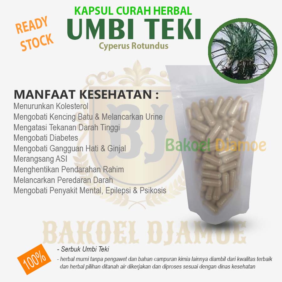 

Kapsul curah herbal umbi teki kapsul herbal diabetes hati ginjal
