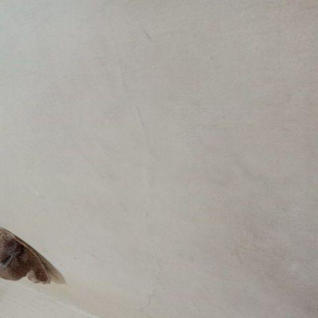 Timbangan Duduk Jarum Vietnam Kapasitas 20 Kg Rata / Flat