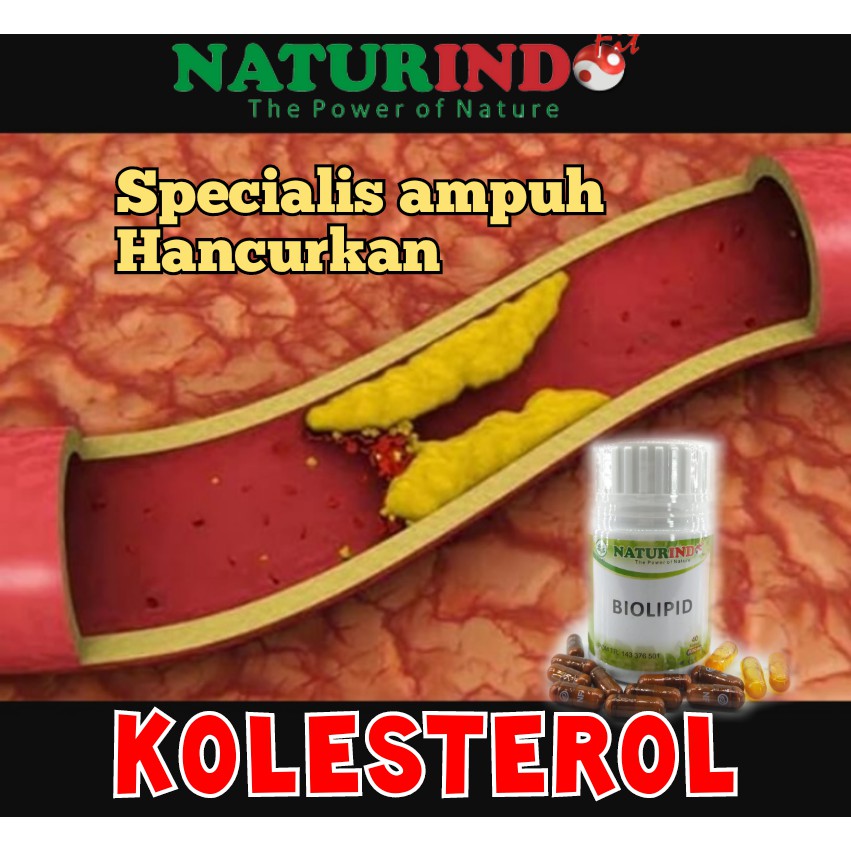 Obat Herbal BIOLIPID Naturindo (Spesial Kolesterol)