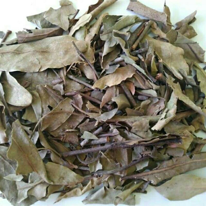 

teh benalu kering original 500gram