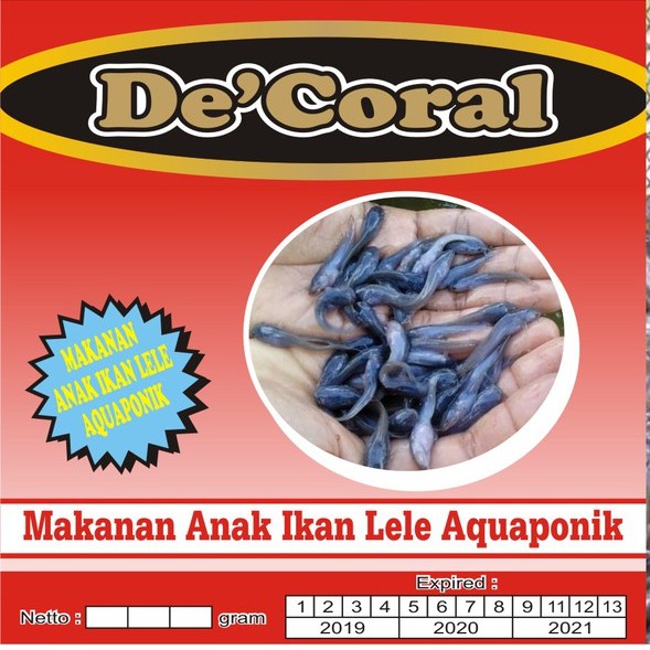 Makanan Anak Ikan Lele Aquaponik | Umpan Ikan Lele
