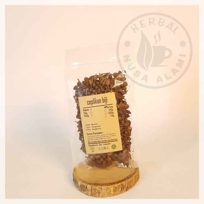 

BIJI CEPLIKAN KERING | PREMIUM | Ruellia Tuberosa 100g