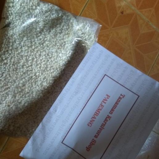 }}}}}}] Perlite (Media Tanam)