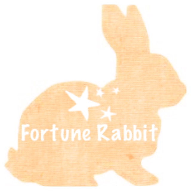 fortunerabbitkidswear