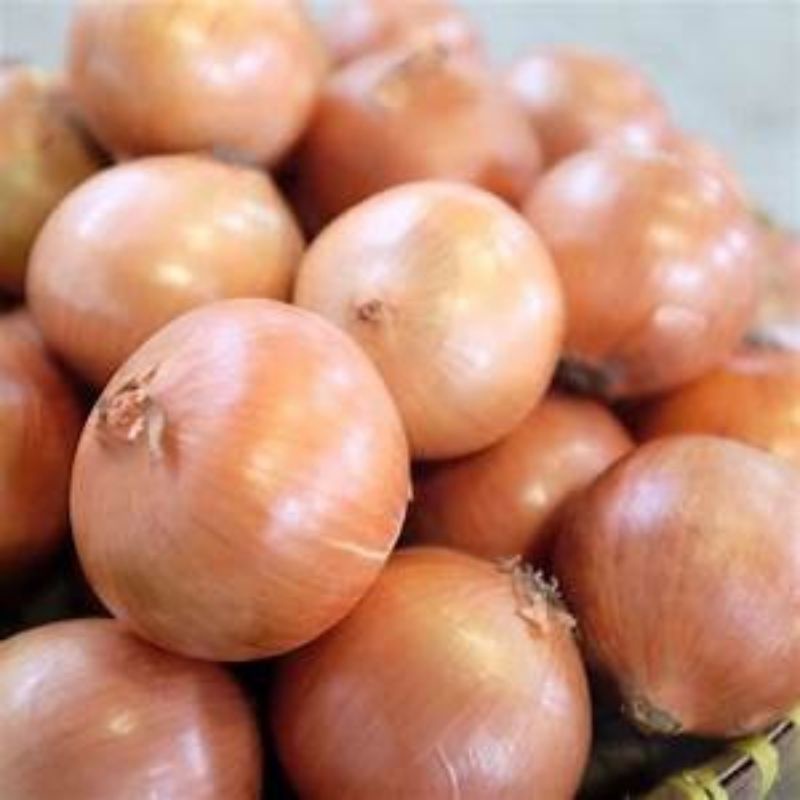 

Bawang Bombay uk Sedang ½kg