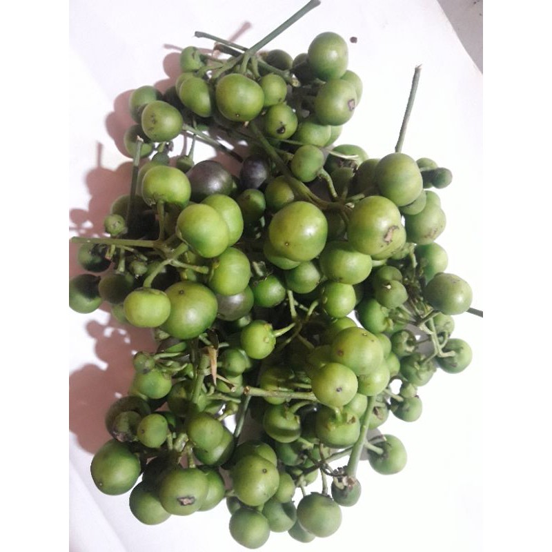 

Leunca / Lenca / 250gr