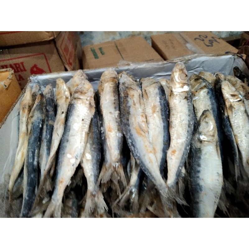 

ikan japuh Belitung bsr"250 grm