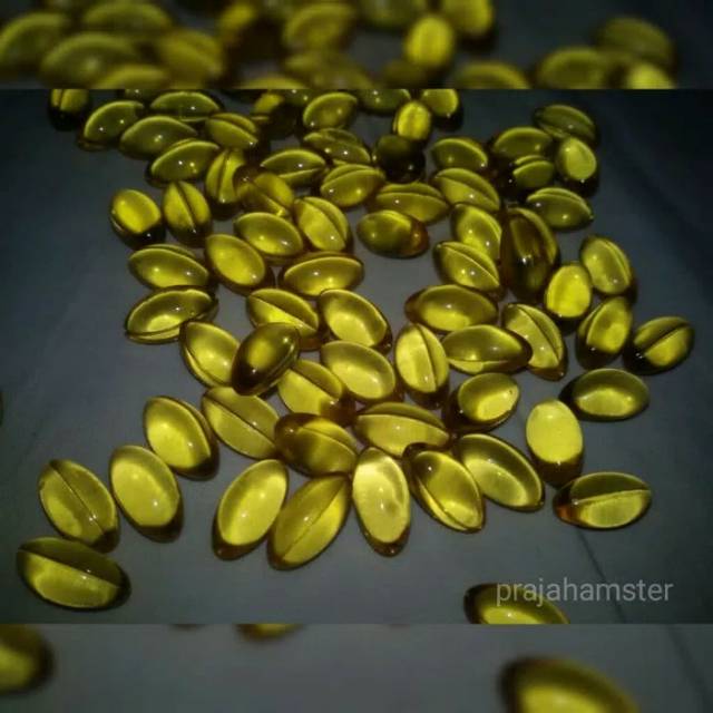 Minyak Ikan Vitamin Fish Oil Untuk Hewan Hamster Kucing