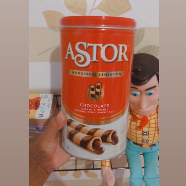 

ASTOR CHOCOLATE 330gr