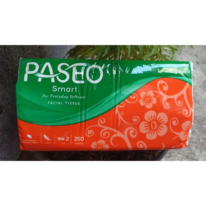 Tissue Passeo Smart Facial 250 Sheet