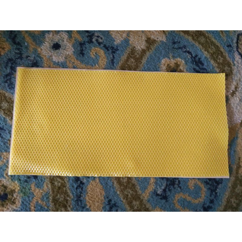 pondasi lebah cerana