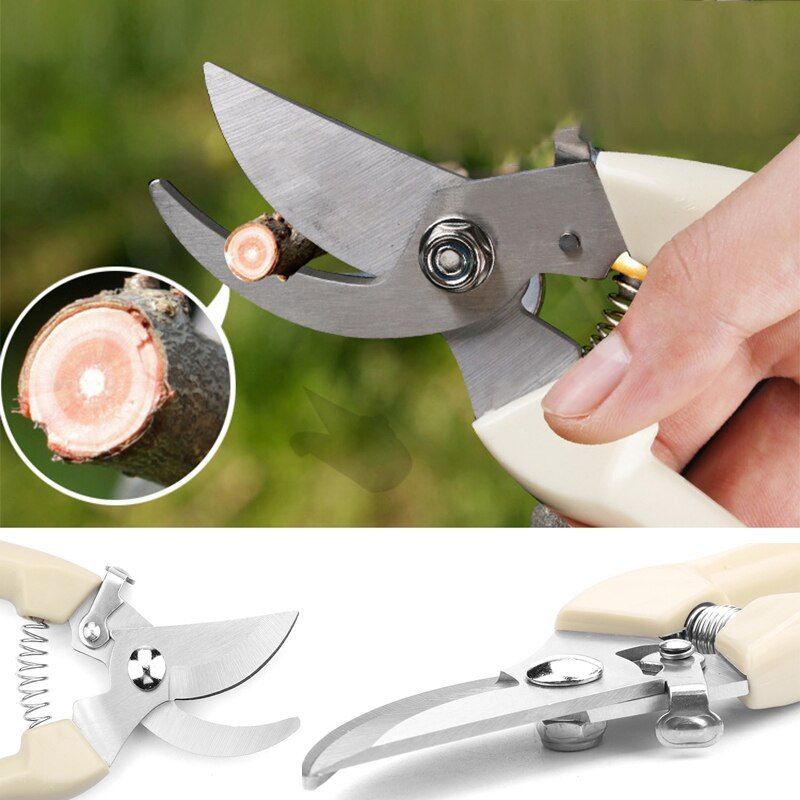 Gunting Dahan Ranting Pruning Alat Potong Dahan Ranting Stek Pruning Shears