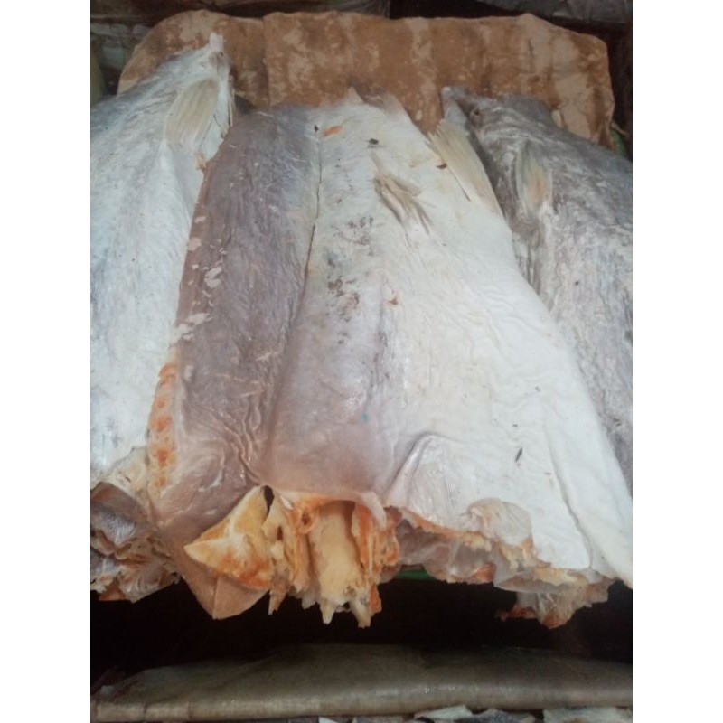 

IKAN ASIN JAMBAL DAGING/NIURAME
