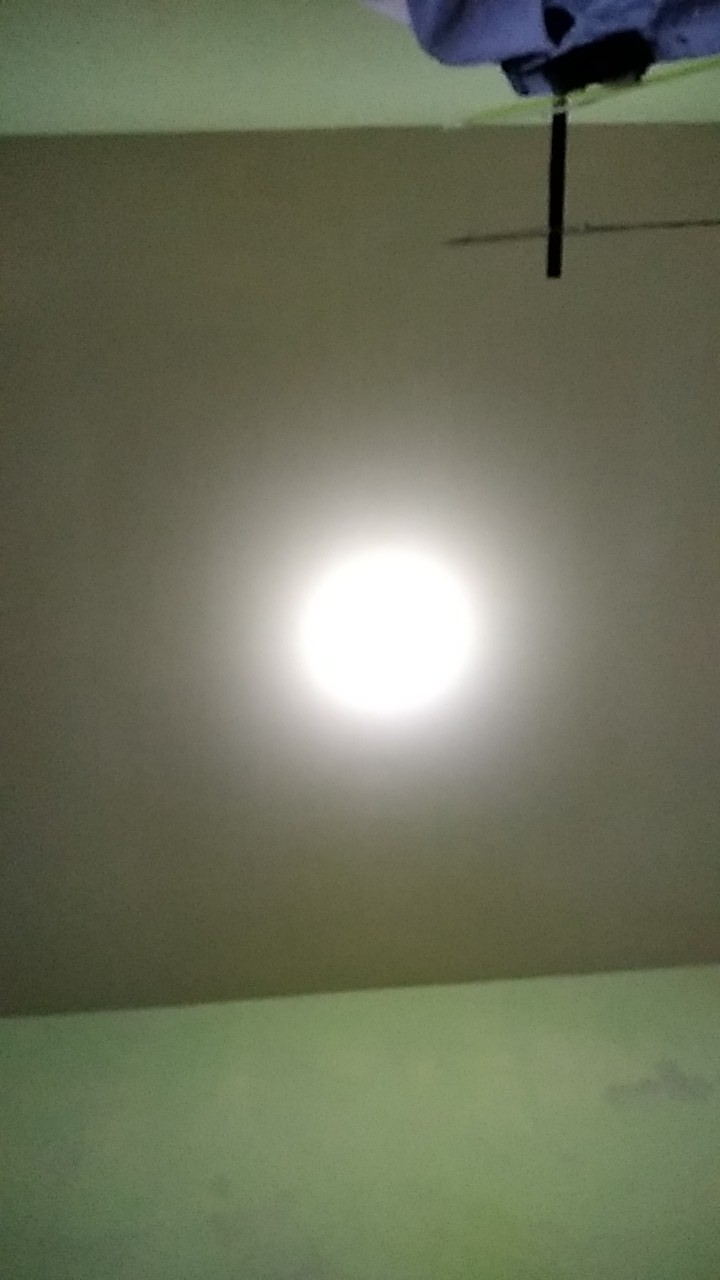 Sikat Kepala Silikon