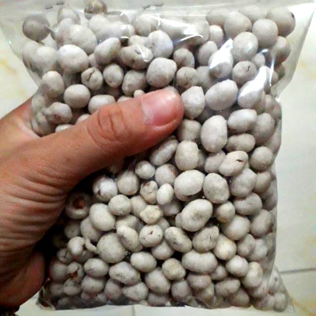 

SUKRO CEMILAN KHAS INDONESIA