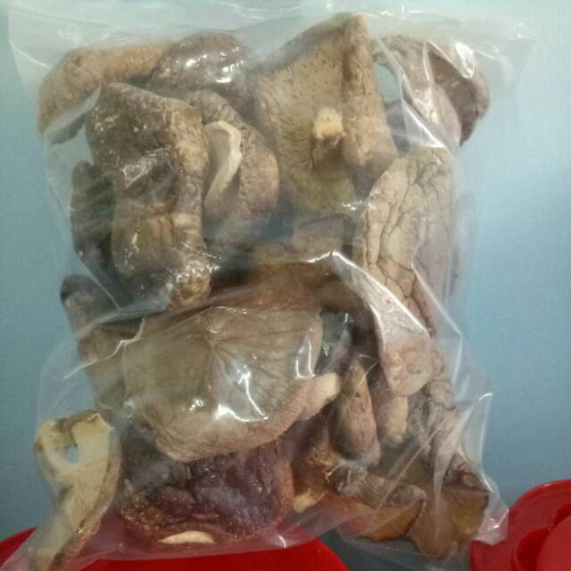 

Jamur Shitake Kering 100g