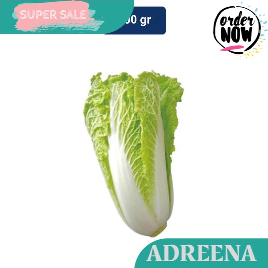 

Bimandiri Sawi Putih 500 gr Adreena Freshbox