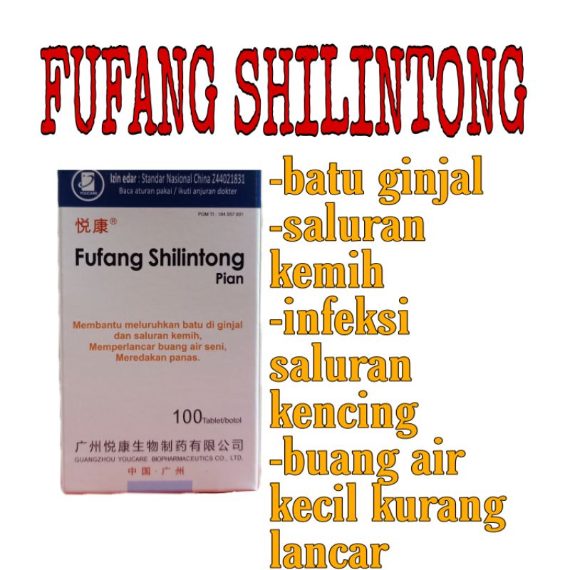 FUFANG SHILINTONG PIAN / SHI LIN TONG