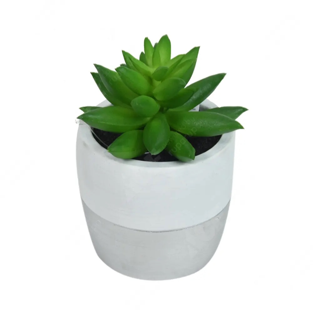 Ace Arthome 11 Cm Tanaman Artifisial Sukulen Chevaria