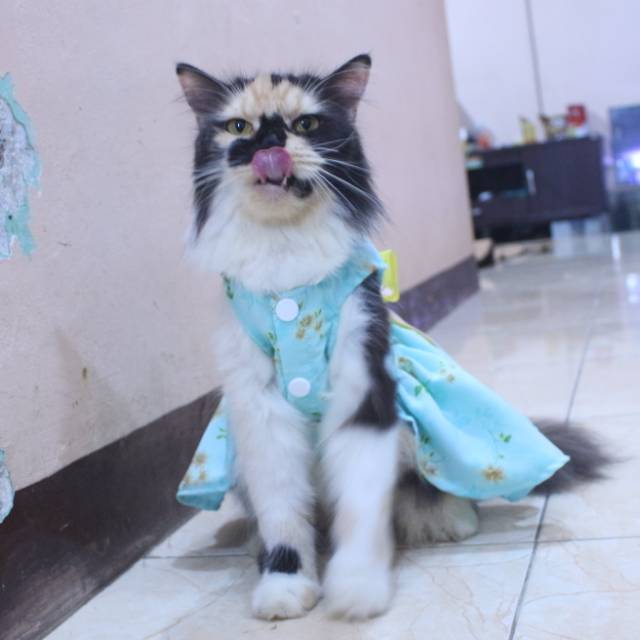 Dress satin toska motif bunga lucu untuk kucing dan anjing / baju kucing murah size S-XL