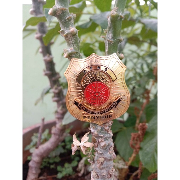 pin penyidik ppns/lencana penyidik ppns