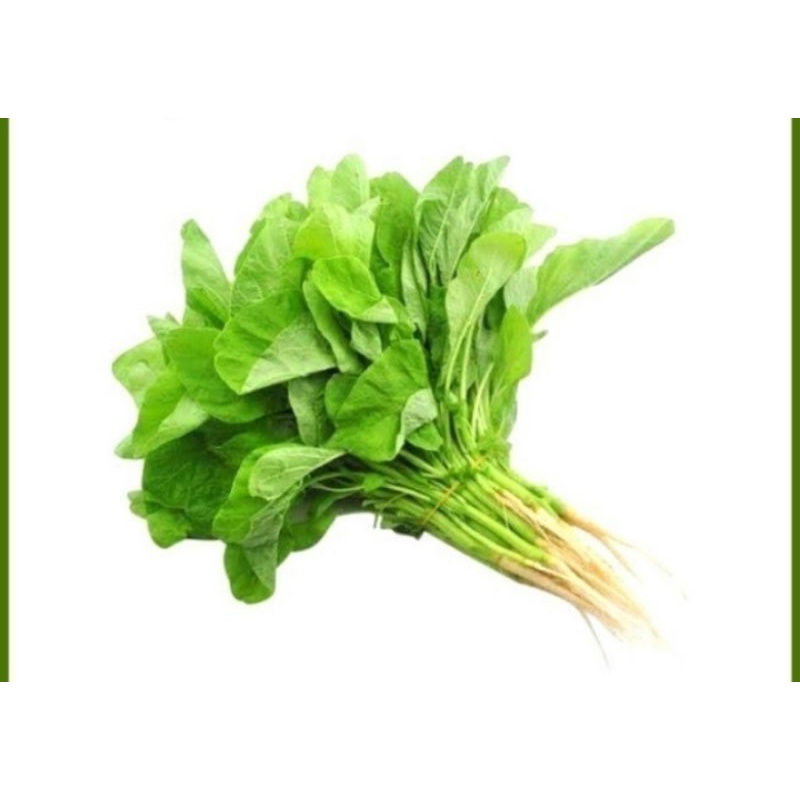

SAYUR BAYAM